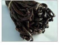 vanilla beans