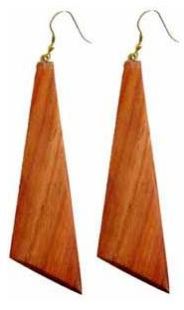 Fashion Earrings (ER-01)