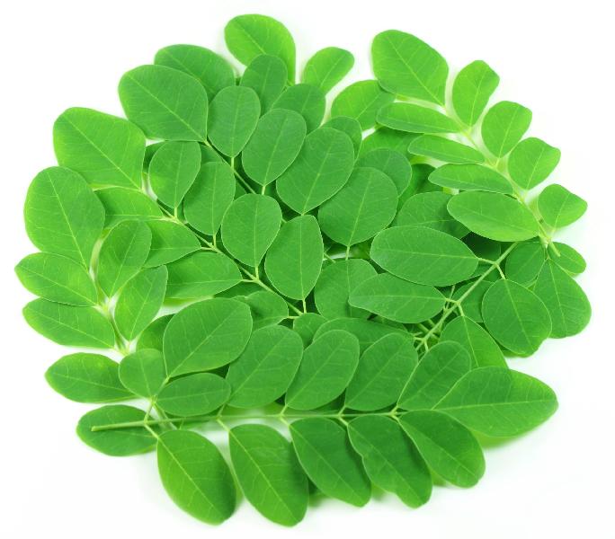 AAHA VARUVAL Moringa Leaf Powder