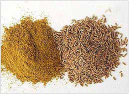 cumin powder