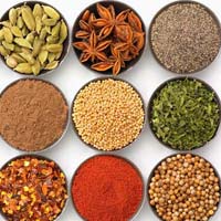 indian spices