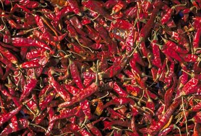 red chilies