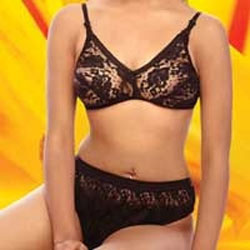 LS-02 Ladies Bra, Feature : Anti-Wrinkle, Comfortable, Color : Red, Black,  White at Best Price in Pune