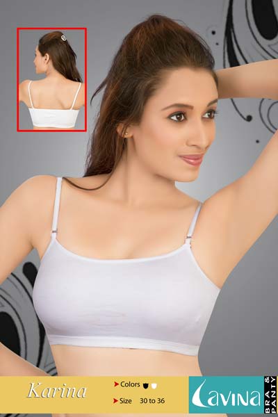 Manufacturer of Ladies Bra from Pune, Maharashtra by Lavina Brassiers