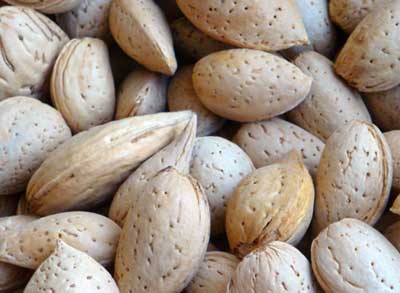 Kashmiri Almonds