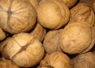 Kashmiri Walnuts