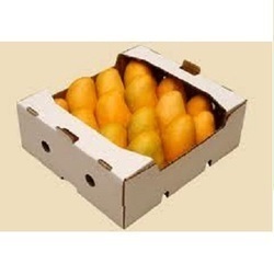 Mango Packaging Boxes