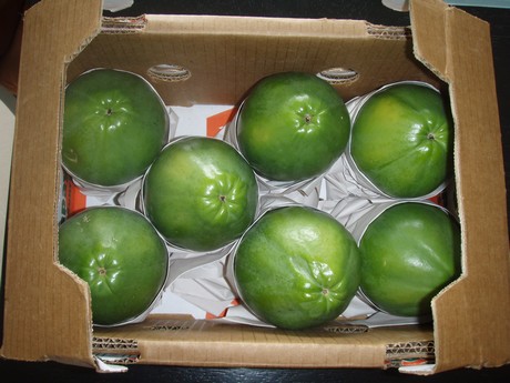 Papaya Packaging Boxes