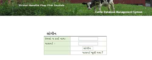 Cattle Database Management Software