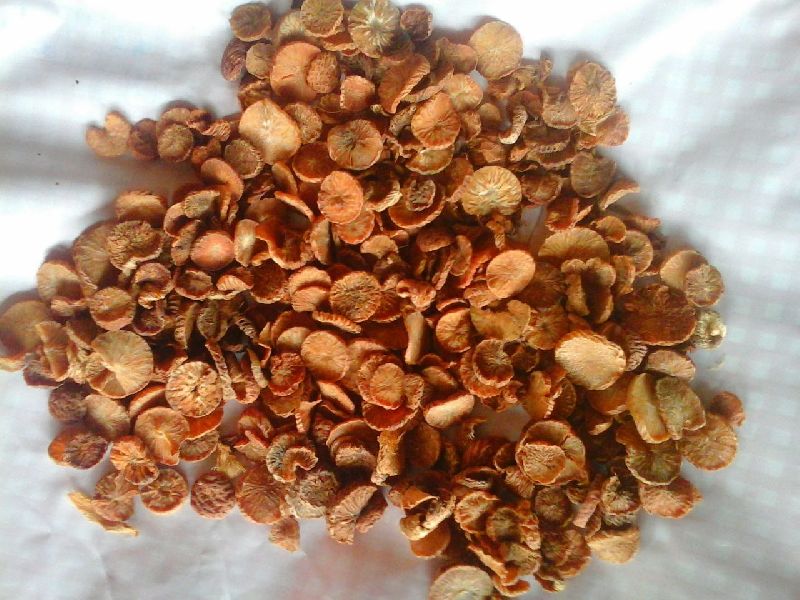 Natural betel nuts, Shelf Life : 2yrs