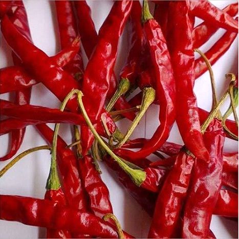 Whole Sun Dry Organic Teja Dried Red Chilli, For Cooking, Fast Food, Sauce, Shelf Life : 2 Years
