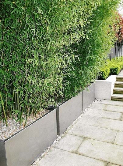 Rectangular Polished Stainless Steel Planters