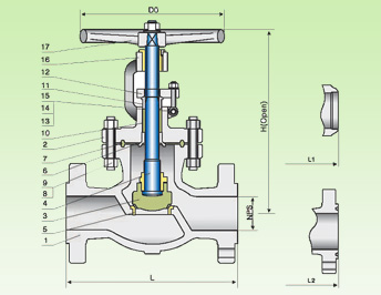 Cast steel Globe valve 150 LB /300 LB