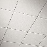 Grid Ceiling