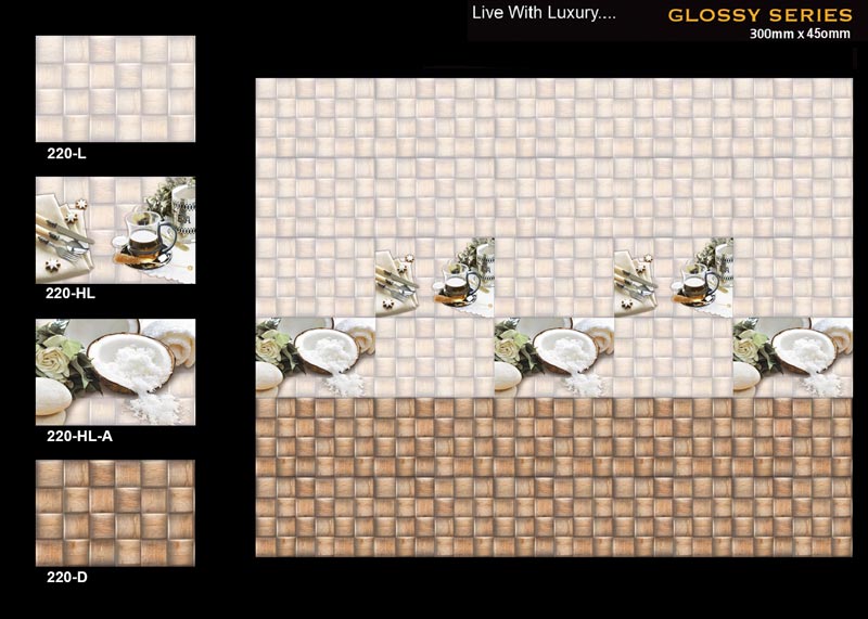 Digital Ceramic Wall Tiles for Kitchen 220
