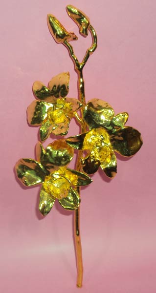 Gold Plated Orchid Flower