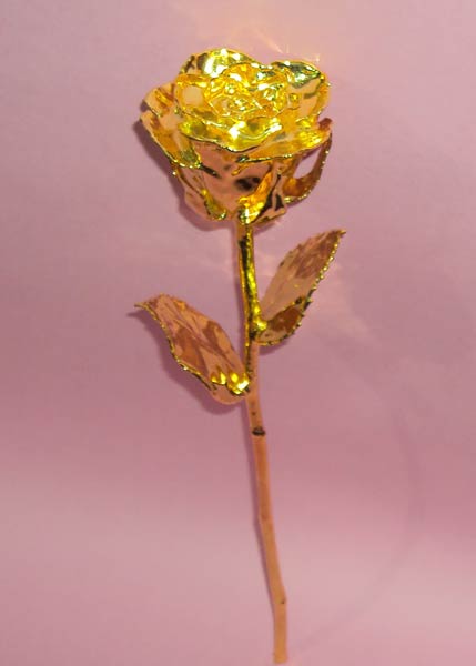 Gold Plated Roses (11 Inch.)