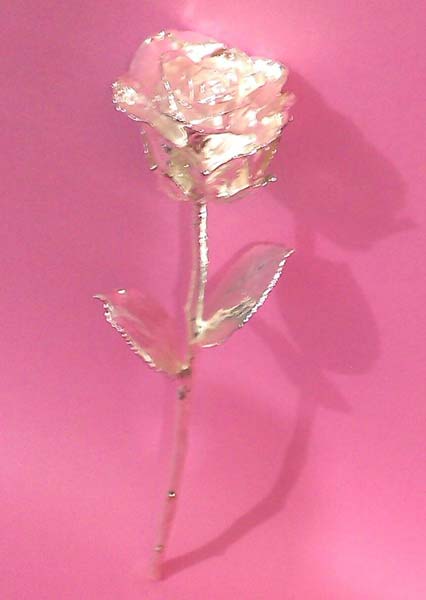 silver Plated Rose 11inch