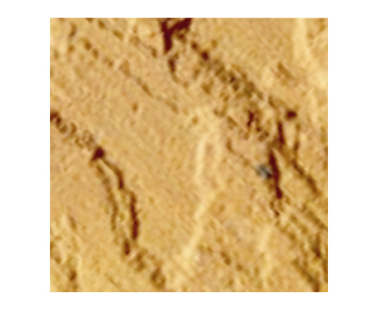 Lalipur Yellow Sandstone