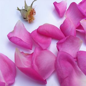 Singhai Fragrances Rose Gulkand, for Ayurvedic, Food Industries, Taste : Sweet Rosy