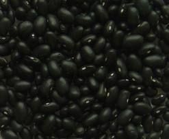 Black Beans, Red Beans