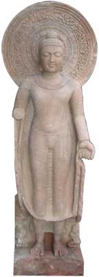 Standing Sarnath Buddha