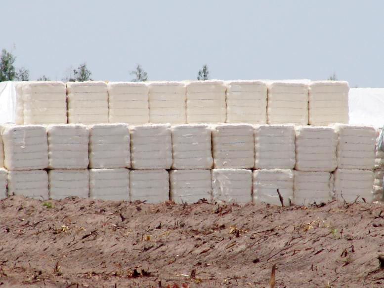 Cotton Bales at Best Price in Karimnagar ID 1746014 Kaveri