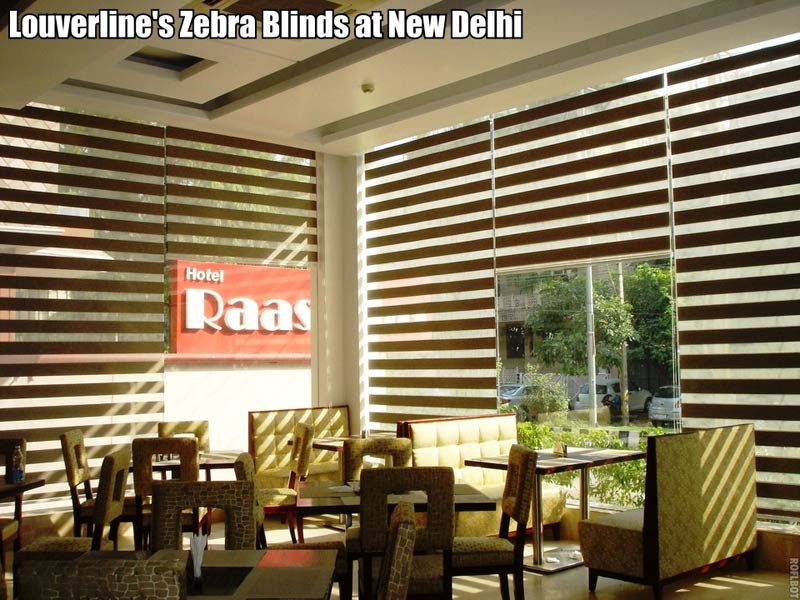 Zebra Window Blinds