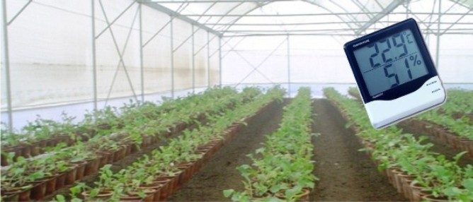 Greenhouse Climate Control