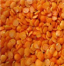 Red Lentils