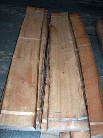 Beech Wood Plank