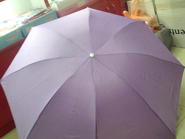 Adult Umbrella