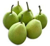 Fresh Pears/Nashpati
