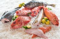 Frozen Sea Foods, Style : Cooked