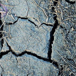 Earth Soil Attar