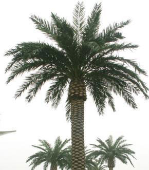 Fake Date Palm Tree for Terrace Garden