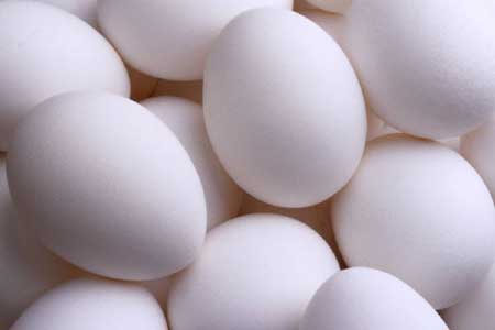 Poultry Eggs,Eggs