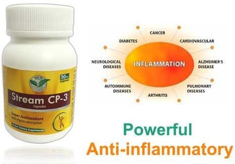 Anti Inflammatory Capsules