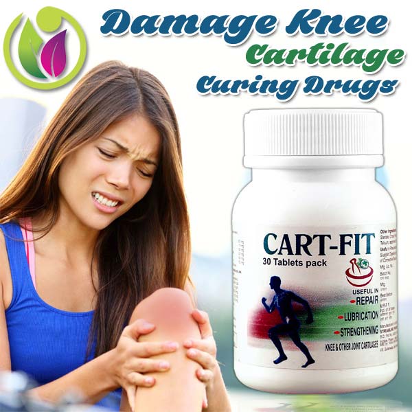 Damage Knee Cartilage Curing Drugs