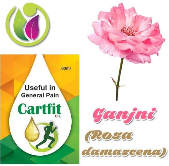 Ganjni (Rosa Damascena)