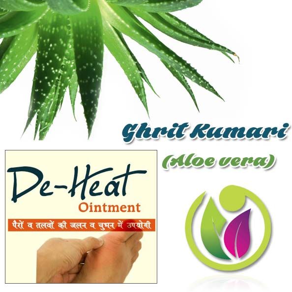 Ghrit Kumari (Aloe Vera)