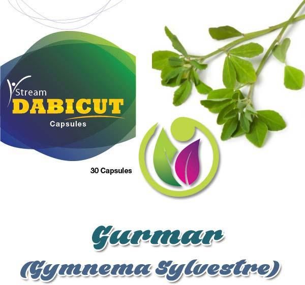 Gurmar (Gymnema Sylvestre) Medicine