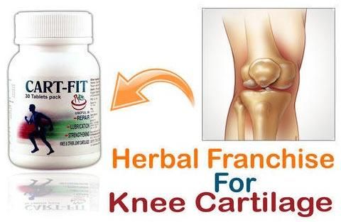 Herbal Franchise For Knee Cartilage