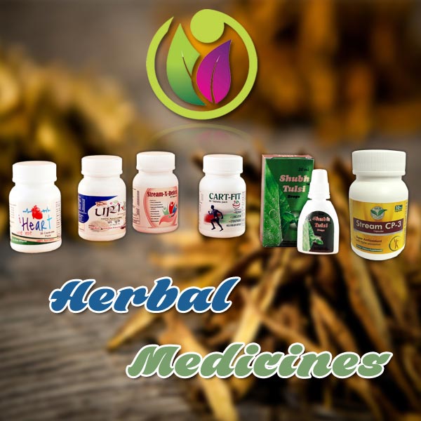 Herbal Medicines - Streamline Pharma(p) Ltd, Ludhiana, Punjab