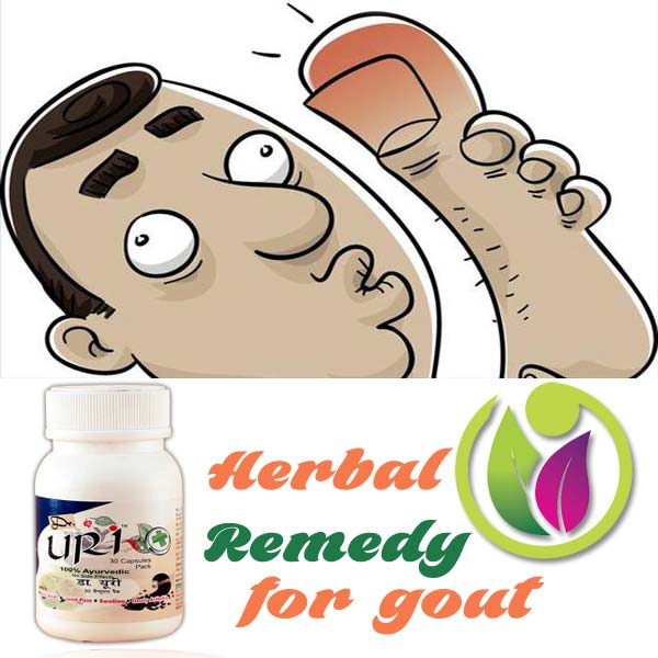 Herbal Remedy for Gout
