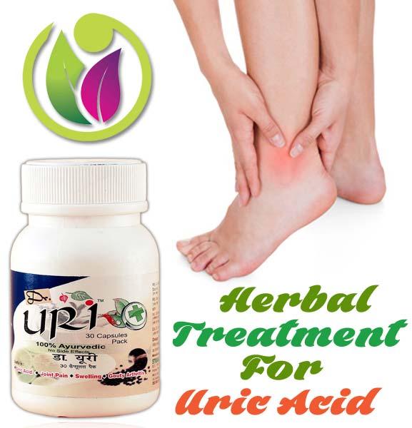 Herbal Treatment For Uric Acid