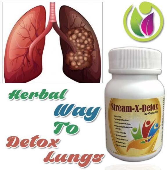 Herbal Way To Detox Lungs
