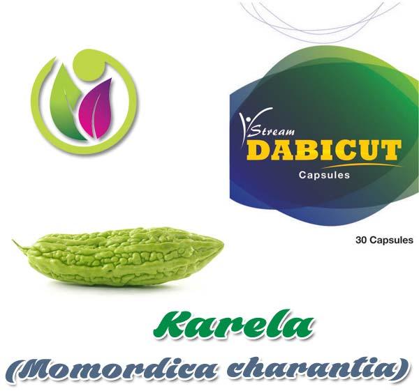 Karela  (Momordica charantia)