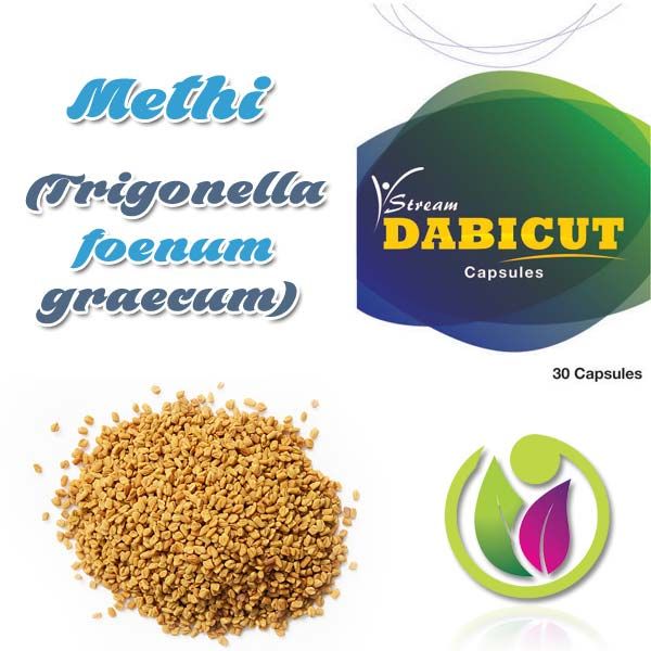 Methi  (Trigonella Foenum Graecum)