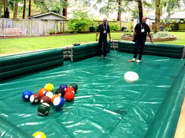 Human Billiards